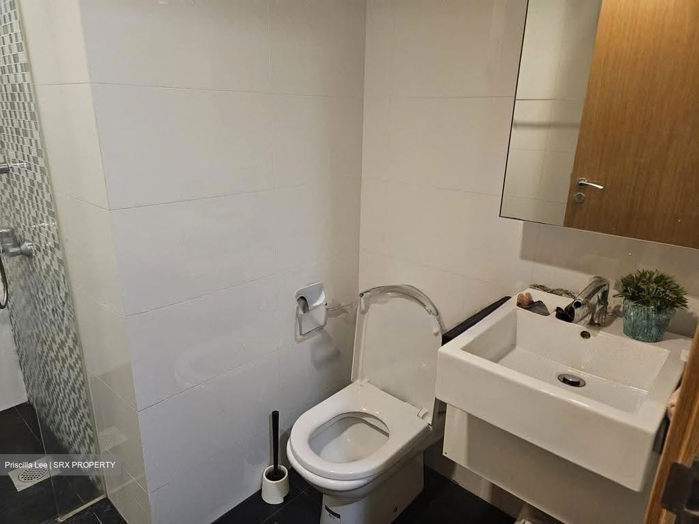 Oasis @ Elias (D18), Condominium #627420871